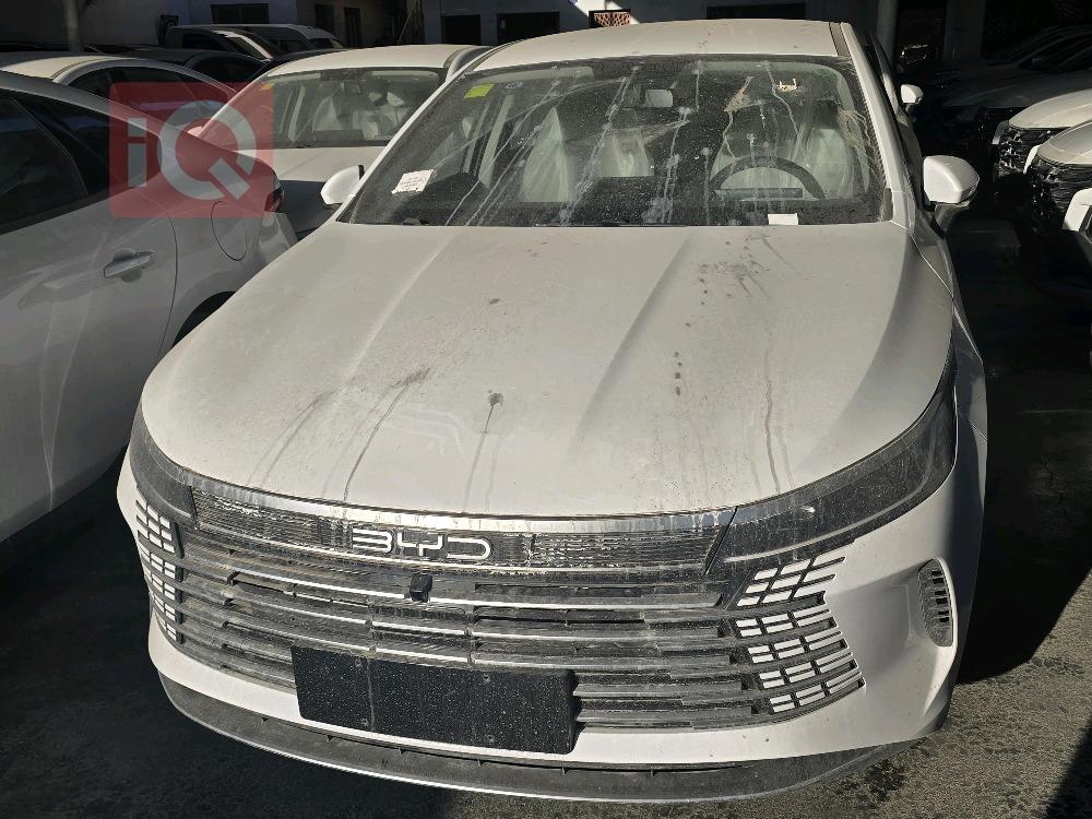 بي واي دي ديستروير 05